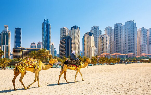 Kamelreiten am Strand von Dubai